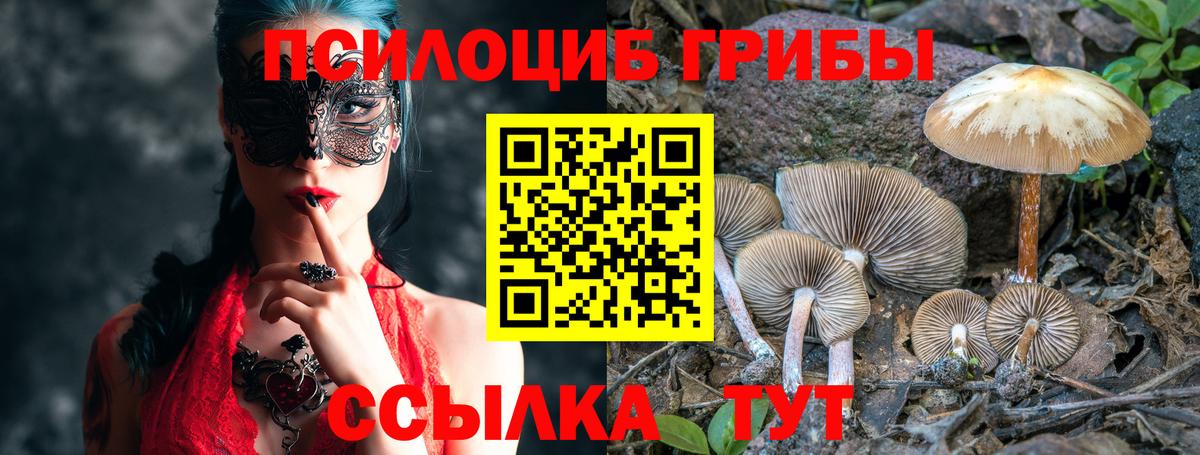 Лосино-Петровский  Галлюциногенные грибы прущие грибы  Вход с VPN 